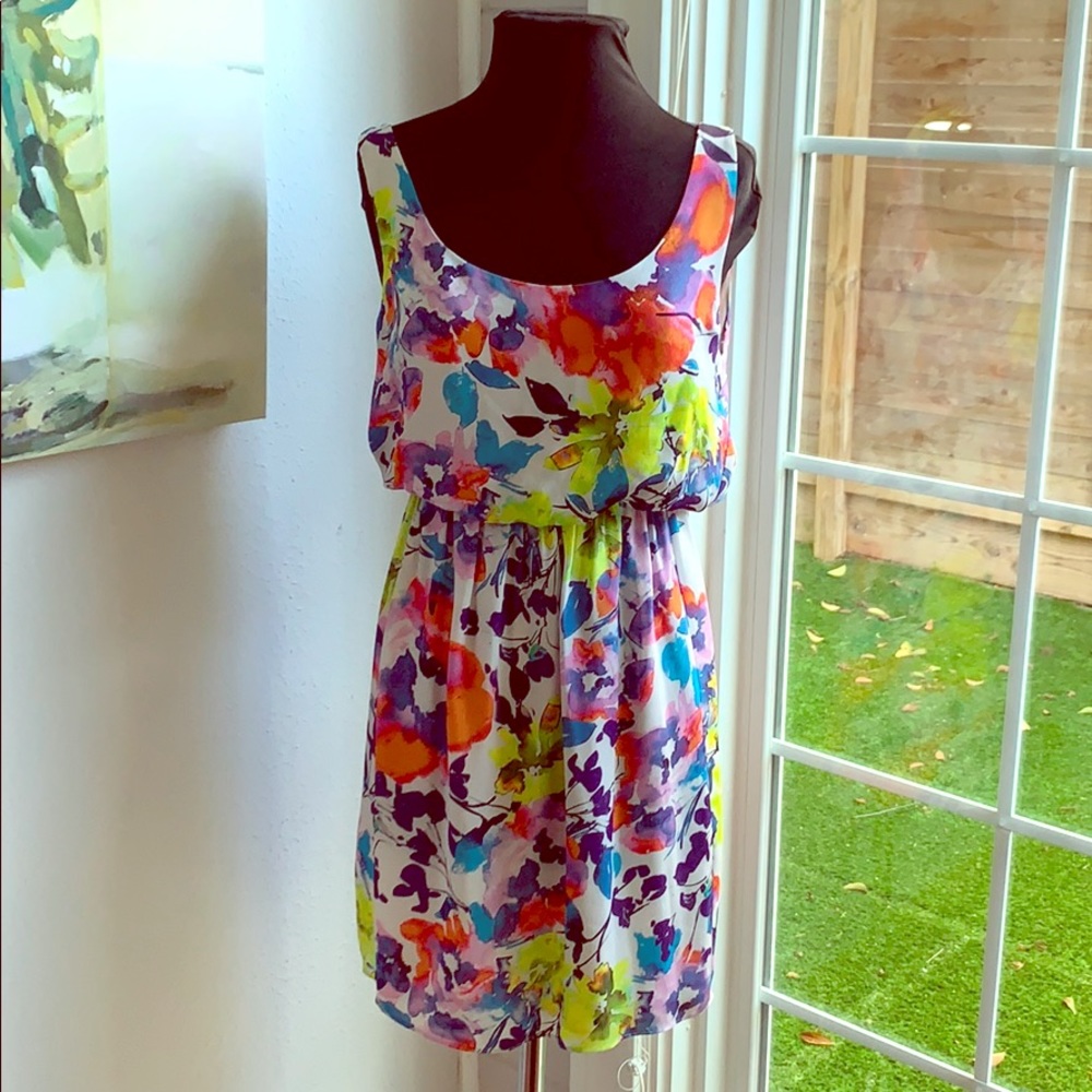 Alice and Olivia ROI dress